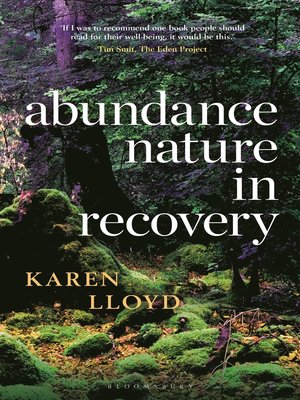 Abundance - ebook
